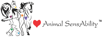 Animal SensAbility Logo